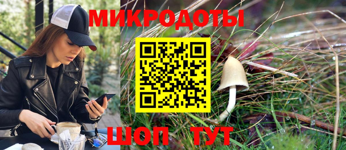 Галлюциногенные грибы мицелий  Вход с VPN  Сочи  Галлюциногенные грибы Psilocybe 