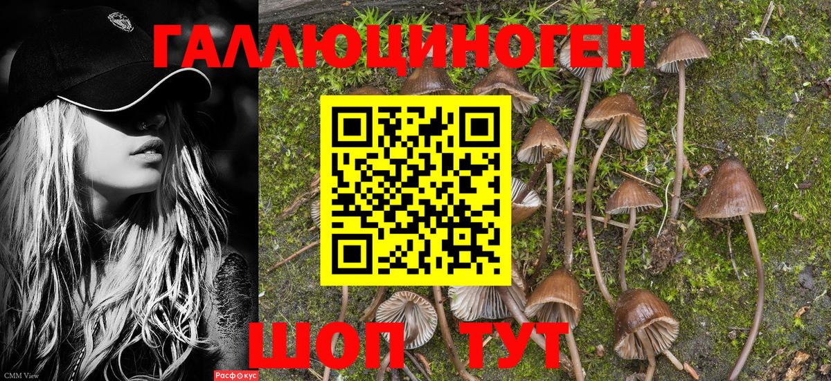 Псилоцибиновые грибы ЛСД Сочи